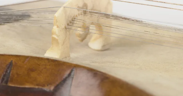 Clés de découverte des musiques et danses d&rsquo;Inde du Nord | Instruments à cordes et lutherie en Inde du Nord